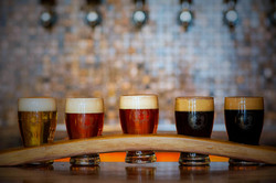 All Beer Sampler